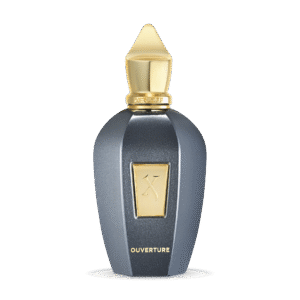 Xerjoff OUVERTURE 100 ml Eau De Parfum