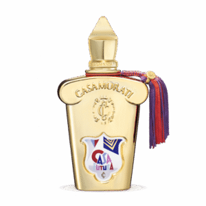 XJ Casamorati casafutura EDP 100 ml